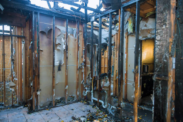 Professional Odor Removal technician working in Blackstone, VA